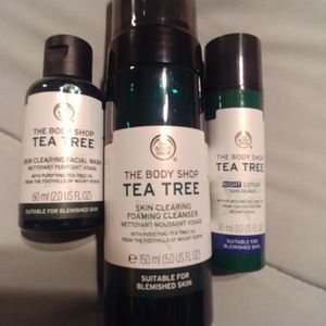 The Body Shop Tea Tree Products